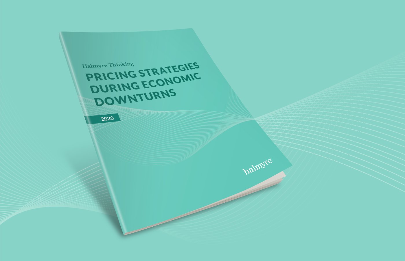 Pricing Strategy Guide